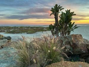 Coronado Island - Dunes Beach